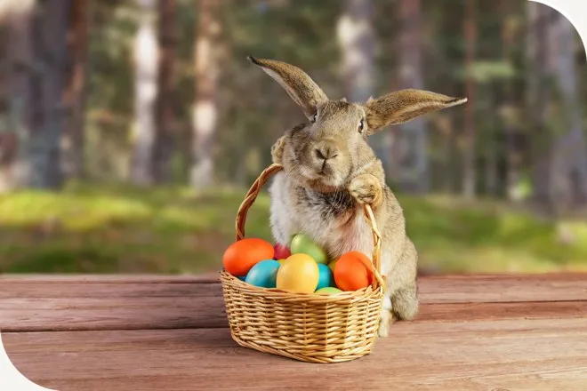 This Easter, get your flexibility on!